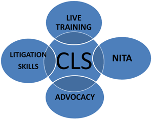 Children’s Legal Services training chart