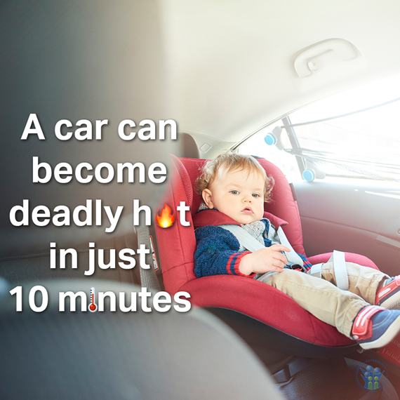 Hot Car Safety