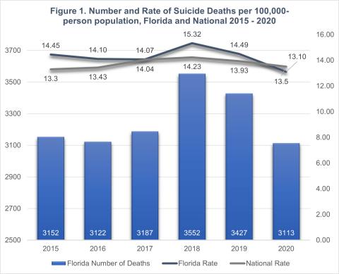 Number and Rate of Suicide Deaths