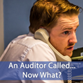 An Auditor called, now what?