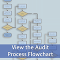 View the Audit Process Flowchart