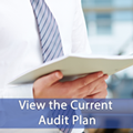 View the current Audit Plan