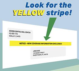 Medicaid Yellow Stripe
